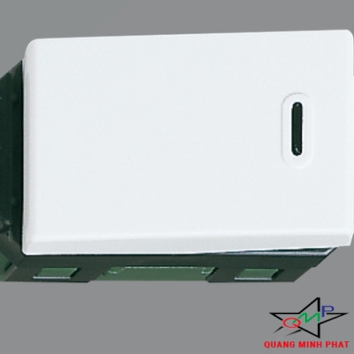 Công Tắc D, 2 Tiếp Điểm Panasonic