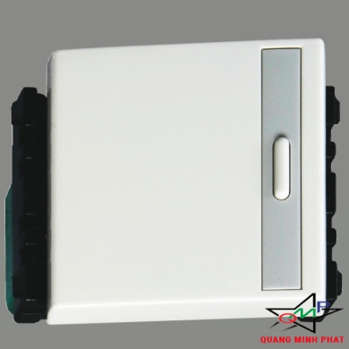 CÔNG TẮC B, 1 CHIỀU, LOẠI TRUNG PANASONIC